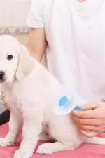 BUFFER® Kedi Köpek Tüy Toplayıcı Kendini Temizleyebilen Ergonomik Saplı Evcil Hayvan Tarağı Mavi