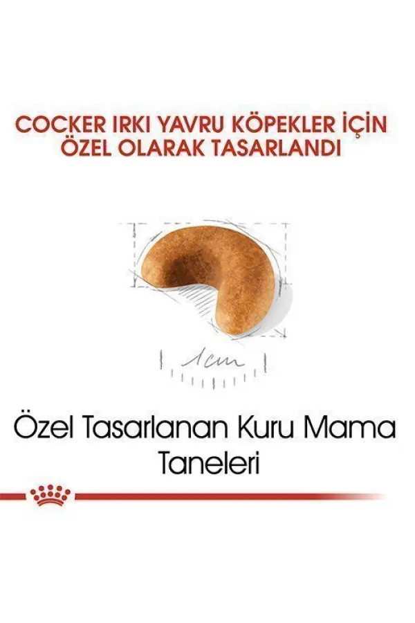 Royal Canin Cocker Junior Yavru Köpek Maması 3 Kg - Lisinya