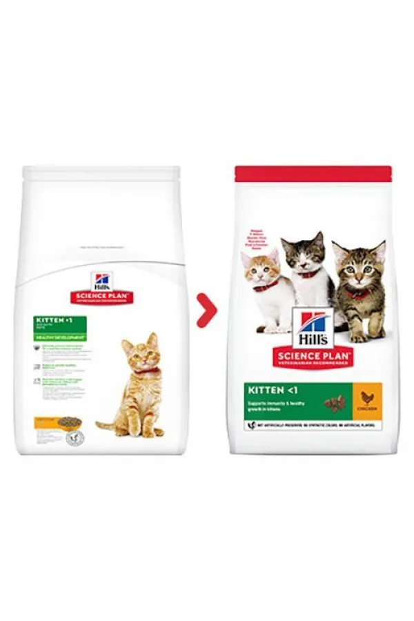 Hills Kitten Tavuklu Yavru Kedi Maması 3 Kg - Lisinya