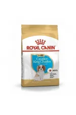 Royal Canin Cavalier King Charles Junior Yavru Köpek Maması 1,5 Kg - Lisinya