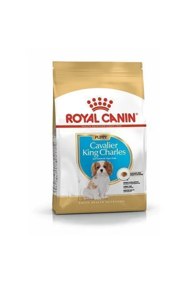 Royal Canin Cavalier King Charles Junior Yavru Köpek Maması 1,5 Kg - Lisinya