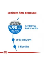 Royal Canin Light Weight Care Diyet Kedi Maması 1,5 kg - Lisinya