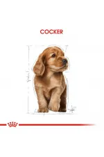 Royal Canin Cocker Junior Yavru Köpek Maması 3 Kg - Lisinya