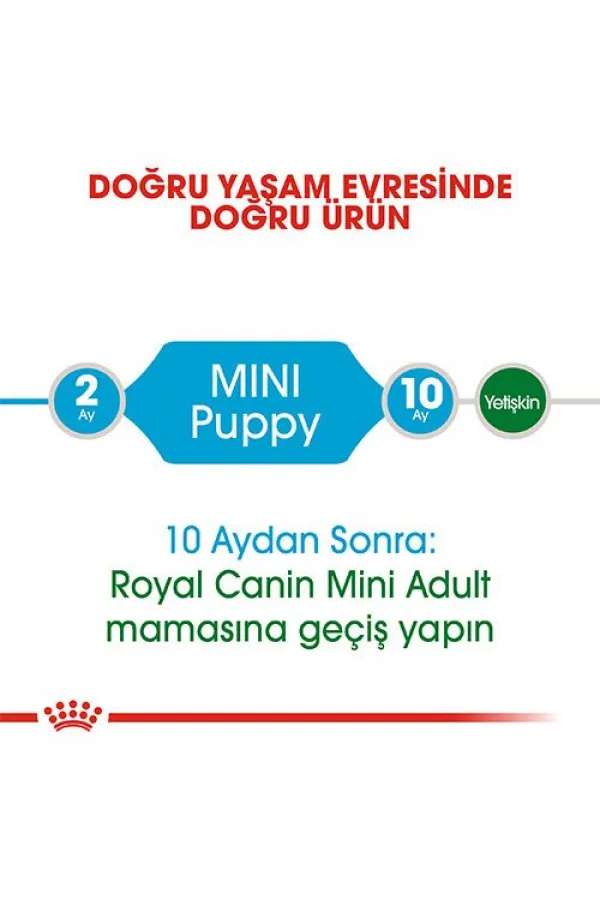 Royal Canin Mini Puppy Küçük Irk Yavru Köpek Maması 4 Kg - Lisinya